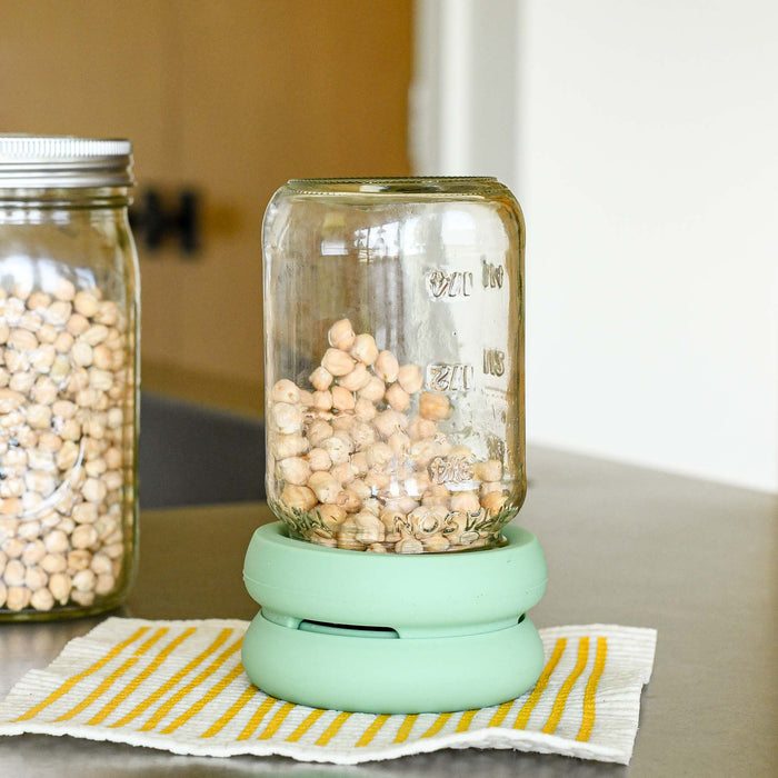 Garbanzo beans in a glass mason jar with the food hugger sprout lid draining onto a swedish dish cloth.