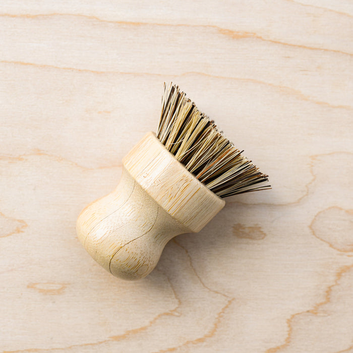 Agave knob dish brush. Made from plant fibers. Wooden handle.