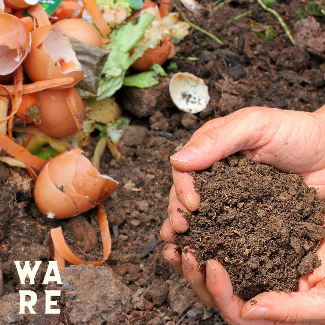 It's Compostable, But How? A General Overview of Composting Methods