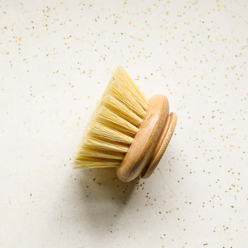 Agave bristle and beechwood replacement dish brush head. Zero waste. 