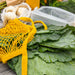 Market tote on table with various vegetables. From Graf Lantz.