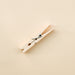 Singular classic wooden clothes pin.