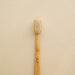 Compostable bamboo toothbrush in medium-firm bristles. From Truthbrush.