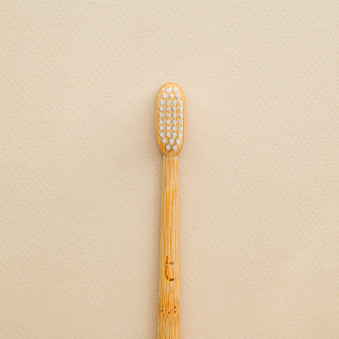 Compostable bamboo toothbrush in soft bristles. From Truthbrush.